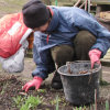 Gartenarbeiten