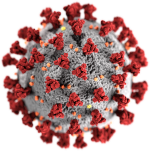 Corona-Virus [CDC / Alissa Eckert, MS, Dan Higgins, MAMS]
