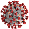 Corona-Virus [CDC / Alissa Eckert, MS, Dan Higgins, MAMS]