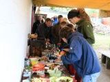 Bild: IMG_6768.JPG