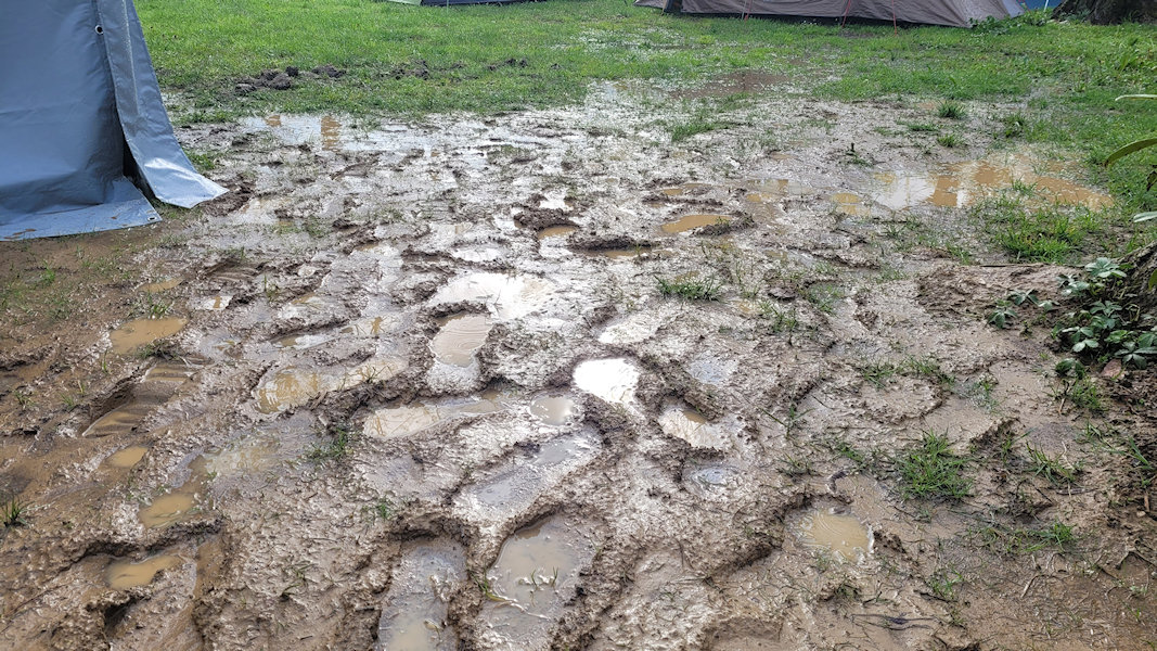 Bild: IMG_5598x_20250415_175545.jpg