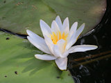Bild: IMG_0364.JPG
