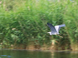 Bild: IMG_0373.JPG