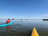 Bild: IMG_0396x_P7110303.JPG