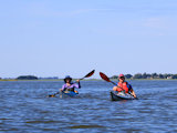 Bild: IMG_0408.JPG