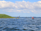 Bild: IMG_0509.JPG