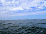 Bild: IMG_0534x_P7160312.JPG
