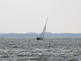 Bild: IMG_0619.JPG