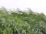 Bild: IMG_0622.JPG