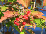 Bild: IMG_0689.JPG