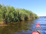 Bild: IMG_0693.JPG
