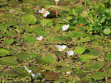 Bild: IMG_0744.JPG