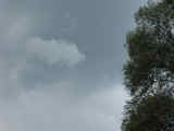 Bild: img_4850.jpg