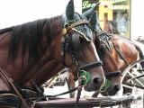 Bild: img_4898.jpg
