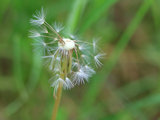 Bild: IMG_0441.JPG