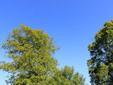 Bild: IMG_0622.JPG
