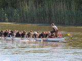 Bild: img_1786.jpg