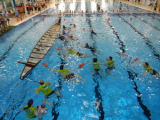 Bild: dscn1614.jpg