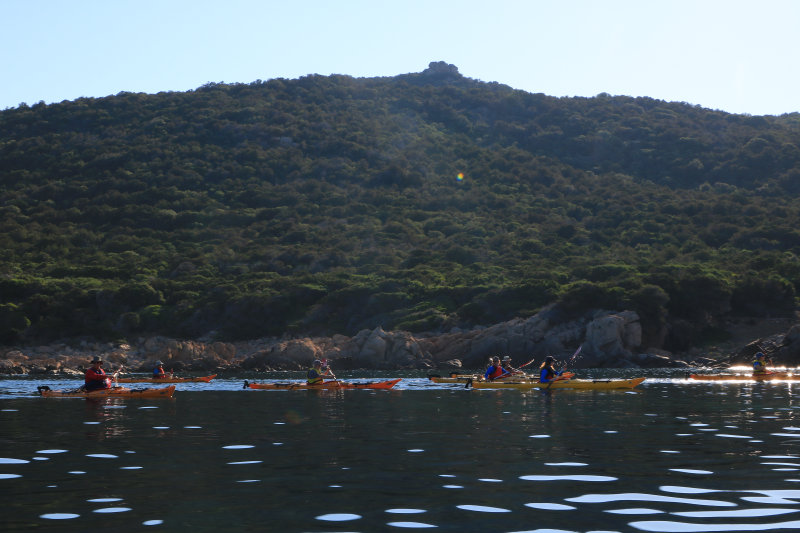 Bild: Foto_0250_IMG_3539.JPG