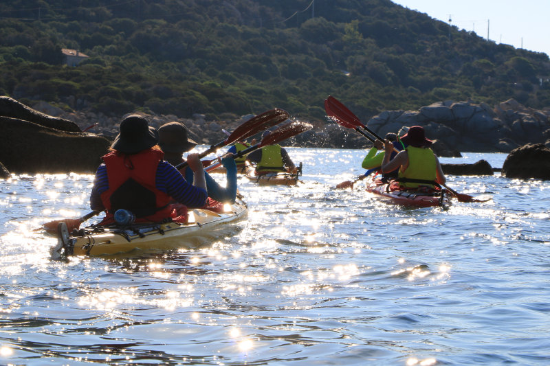 Bild: Foto_0260_IMG_3549.JPG