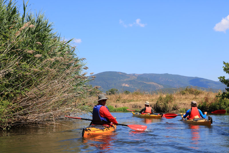 Bild: Foto_0340_IMG_3603.JPG