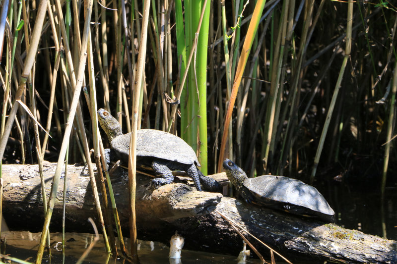 Bild: Foto_0350_IMG_3611.JPG