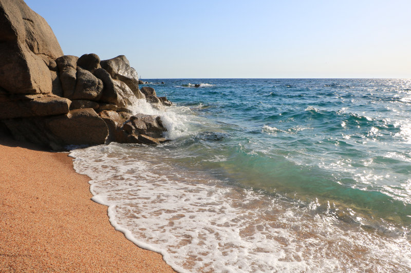 Bild: Foto_0720_IMG_3788.JPG