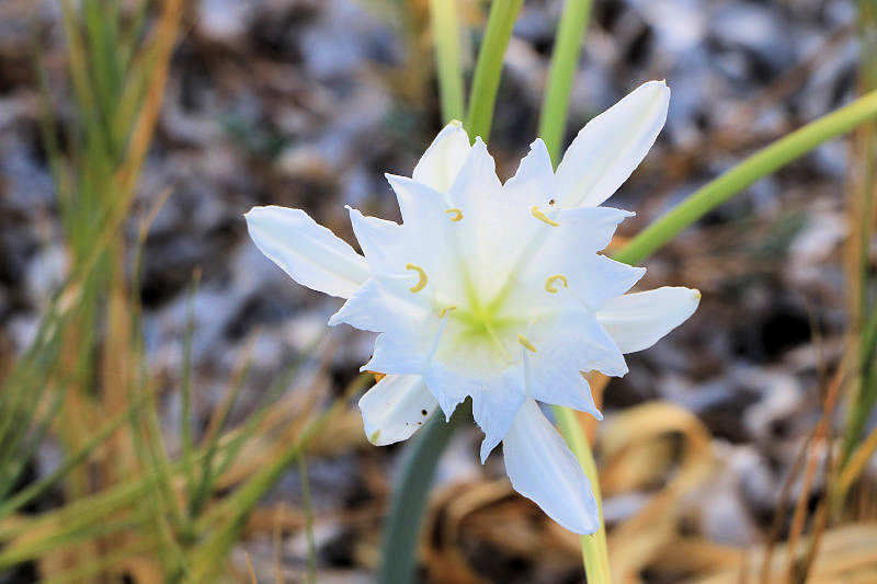 Bild: Foto_0810_IMG_3859.JPG