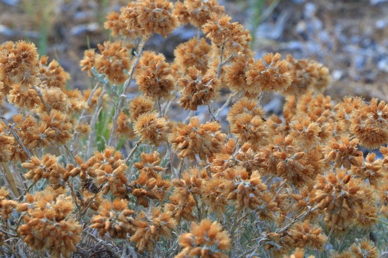 Bild: Foto_0820_IMG_3863.JPG