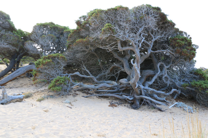 Bild: Foto_0830_IMG_3867.JPG