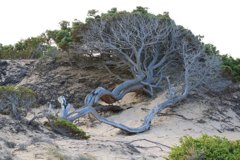 Bild: Foto_0840_IMG_3875.JPG