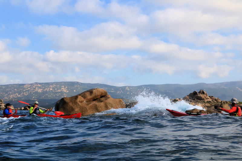 Bild: Foto_1050_IMG_3975.JPG