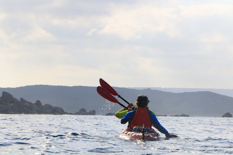 Bild: Foto_1070_IMG_3991.JPG