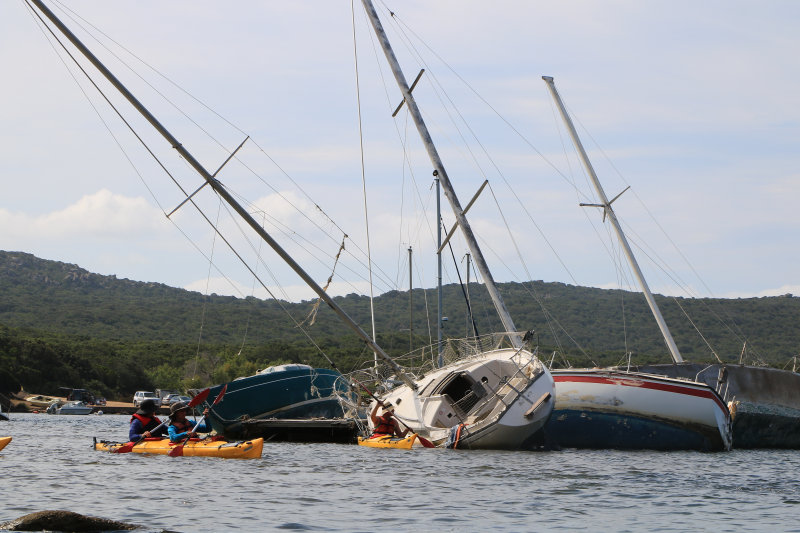 Bild: Foto_1100_IMG_4016.JPG