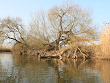 Bild: IMG_0046.JPG