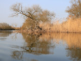 Bild: IMG_0047.JPG