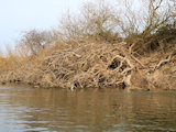 Bild: IMG_0064.JPG