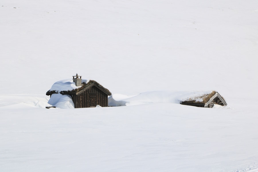 Bild: IMG_3426.JPG