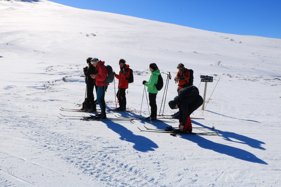 Bild: IMG_0126.JPG