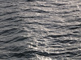 Bild: IMG_0109.JPG