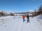 Bild: IMG_0184x_PXL_20260403_085843877.jpg