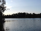 Bild: 20190607_202634.jpg
