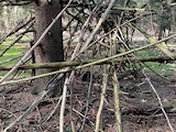 Bild: IMG_0063.jpg