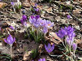 Bild: IMG_0100.jpg