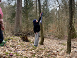 Bild: IMG_0742.jpg