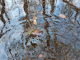 Bild: signal-2026-03-01-132651_003.jpg