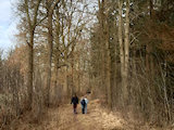 Bild: signal-2026-03-01-133441.jpg