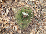 Bild: signal-2026-03-01-133859.jpg
