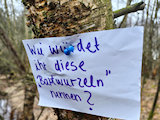 Bild: signal-2026-03-01-144444.jpg