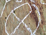 Bild: signal-2026-03-01-152035_002.jpg